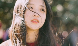 萧麻豆,揭秘古代传奇豆类的传奇故事